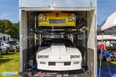 yellow-bullet-fri-18