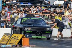 yellow-bullet-fri-181