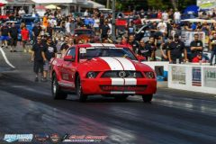 yellow-bullet-fri-182