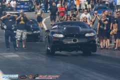 yellow-bullet-fri-184