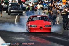 yellow-bullet-fri-193