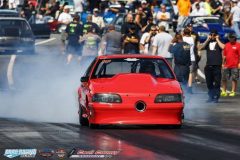 yellow-bullet-fri-194