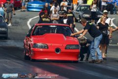 yellow-bullet-fri-196