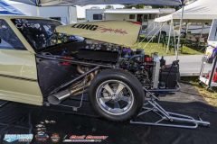 yellow-bullet-fri-20