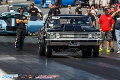 yellow-bullet-fri-206