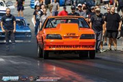 yellow-bullet-fri-220