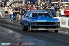 yellow-bullet-fri-231