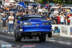 yellow-bullet-fri-243