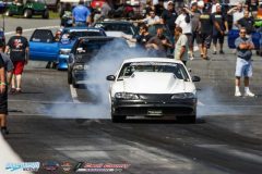 yellow-bullet-fri-244