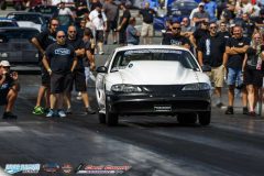 yellow-bullet-fri-246