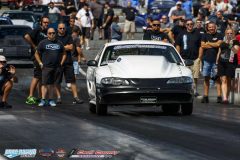 yellow-bullet-fri-247