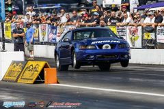 yellow-bullet-fri-252