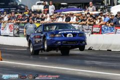 yellow-bullet-fri-253