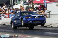 yellow-bullet-fri-255