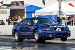 yellow-bullet-fri-258