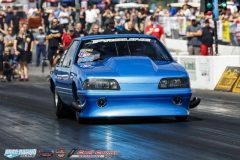 yellow-bullet-fri-264