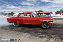 yellow-bullet-fri-270