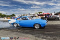 yellow-bullet-fri-273