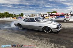 yellow-bullet-fri-282