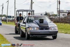 yellow-bullet-fri-288