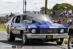 yellow-bullet-fri-291