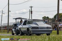 yellow-bullet-fri-301