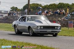 yellow-bullet-fri-304