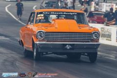 yellow-bullet-fri-307