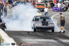 yellow-bullet-fri-308