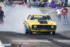 yellow-bullet-fri-310