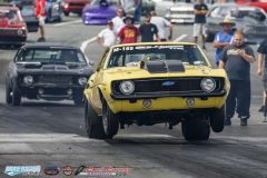 yellow-bullet-fri-311