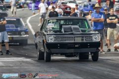 yellow-bullet-fri-316