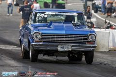 yellow-bullet-fri-326