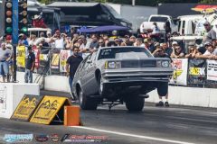 yellow-bullet-fri-329