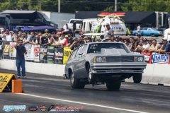 yellow-bullet-fri-332