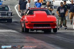 yellow-bullet-fri-339