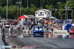 yellow-bullet-fri-348