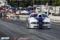 yellow-bullet-fri-353