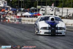 yellow-bullet-fri-354