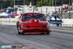 yellow-bullet-fri-356