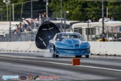 yellow-bullet-fri-367