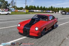 yellow-bullet-fri-37