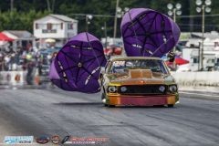 yellow-bullet-fri-372