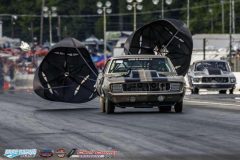 yellow-bullet-fri-375