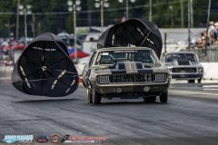 yellow-bullet-fri-376