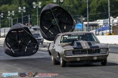 yellow-bullet-fri-378