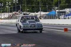 yellow-bullet-fri-385