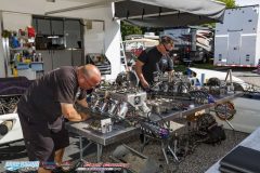 yellow-bullet-fri-39