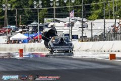 yellow-bullet-fri-393