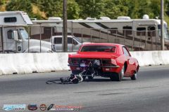 yellow-bullet-fri-396